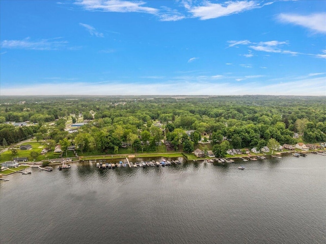 4940 Pottawatamie Path, Watervliet, MI 49098 - drone / aerial view of a forest and a large body of water