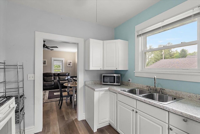4940 Pottawatamie Path, Watervliet, MI 49098 - kitchen featuring stainless steel microwave, a sink, dark wood-style flooring, white cabinets, and light countertops