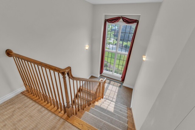 19610 Pierson Dr, Northville, MI 48167 - photo 53