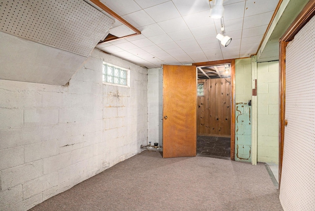 1386 W Broadway Ave, Muskegon, MI 49441 - below grade area with carpet floors