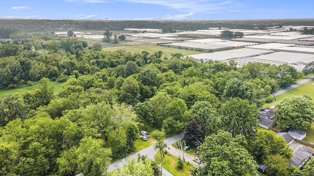 6390 Celery St, Kalamazoo, MI 49048 - drone / aerial view