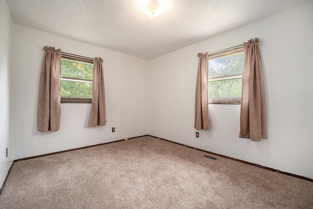 6390 Celery St, Kalamazoo, MI 49048 - carpeted empty room featuring healthy amount of natural light, a textured ceiling, and baseboards