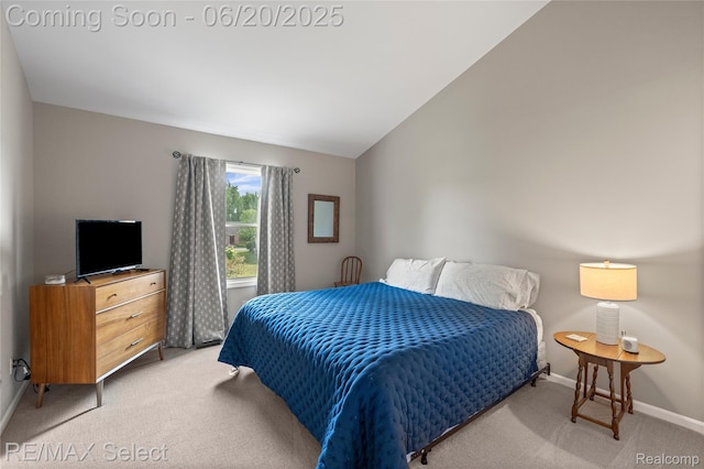 13023 Harbor Landings Dr, Fenton, MI 48430 - photo 22
