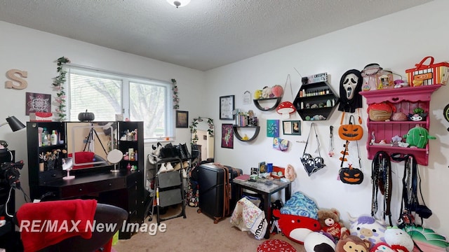3257 N Christy Way, Saginaw, MI 48603 - misc room featuring carpet floors and a textured ceiling
