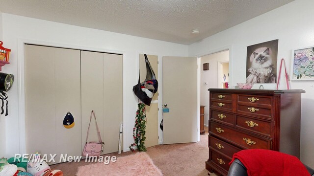 3257 N Christy Way, Saginaw, MI 48603 - bedroom featuring carpet flooring, a closet, and a textured ceiling