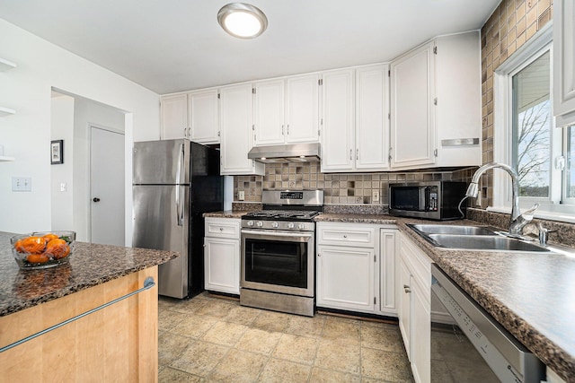 2149 Fair St, Ann Arbor, MI 48103 - kitchen featuring stainless steel appliances, under cabinet range hood, a sink, and tasteful backsplash