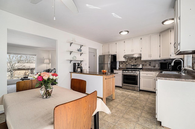 2149 Fair St, Ann Arbor, MI 48103 - kitchen featuring stainless steel appliances, under cabinet range hood, dark countertops, and a sink