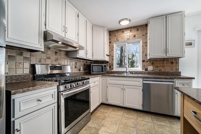 2149 Fair St, Ann Arbor, MI 48103 - kitchen featuring stainless steel appliances, under cabinet range hood, a sink, tasteful backsplash, and light stone finish floors