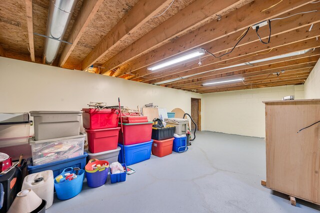20550 19 Mile Rd, Big Rapids, MI 49307 - view of finished below grade area