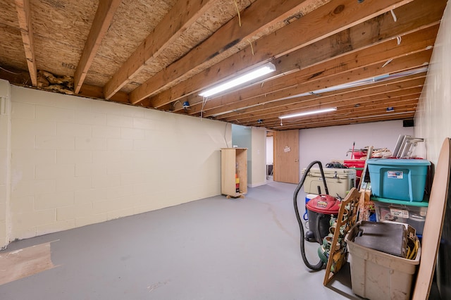 20550 19 Mile Rd, Big Rapids, MI 49307 - view of basement