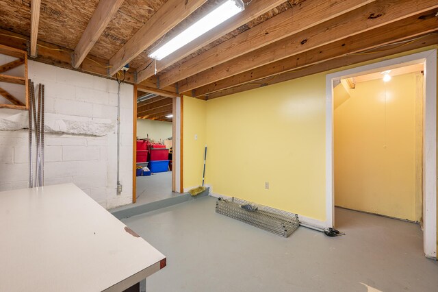 20550 19 Mile Rd, Big Rapids, MI 49307 - view of below grade area