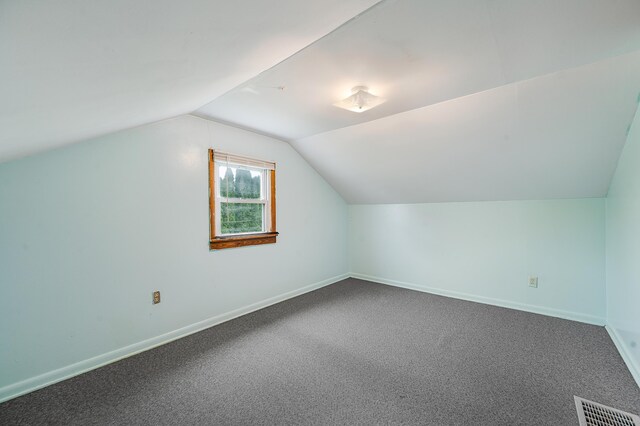 20550 19 Mile Rd, Big Rapids, MI 49307 - additional living space featuring vaulted ceiling, carpet floors, and baseboards