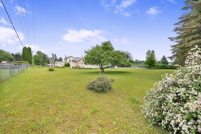 20550 19 Mile Rd, Big Rapids, MI 49307 - view of yard