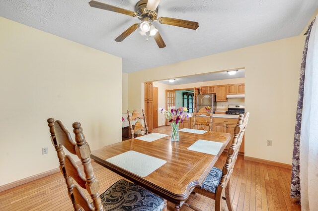 20550 19 Mile Rd, Big Rapids, MI 49307 - dining space featuring light wood-style floors, baseboards, and ceiling fan