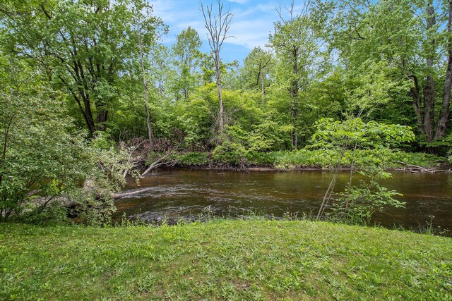 9503 N Lee Dr, Branch, MI 49402 - photo 4