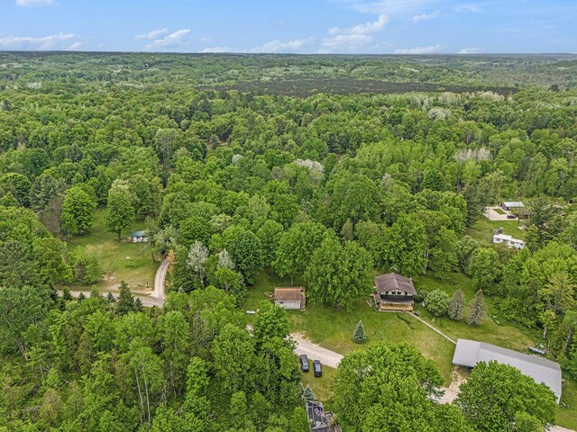 9503 N Lee Dr, Branch, MI 49402 - photo 31