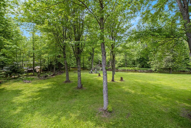 9503 N Lee Dr, Branch, MI 49402 - photo 24