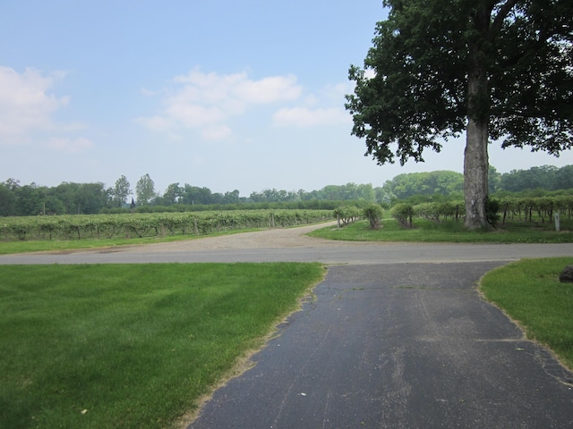 43859 60th Ave, Paw Paw, MI 49079 - view of asphalt street with a rural view