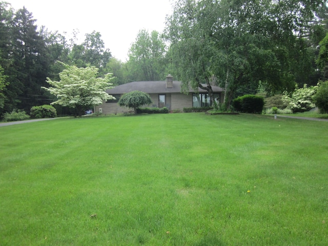 43859 60th Ave, Paw Paw, MI 49079 - view of front of home featuring a front yard and a chimney