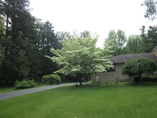 43859 60th Ave, Paw Paw, MI 49079 - view of green lawn