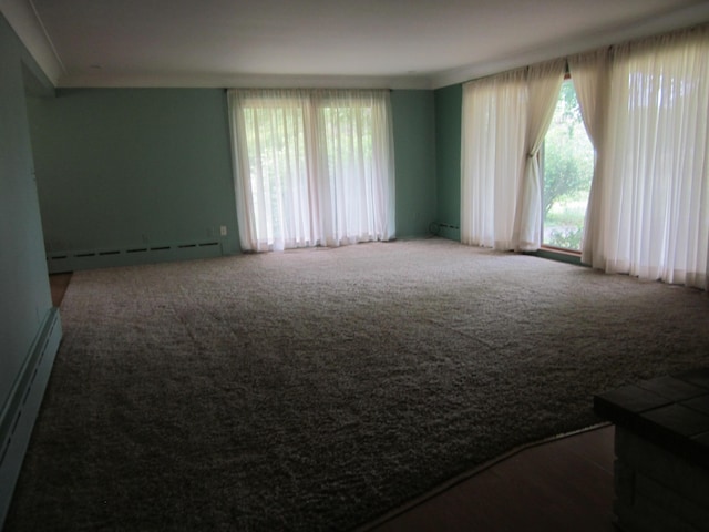 43859 60th Ave, Paw Paw, MI 49079 - carpeted empty room featuring a baseboard radiator and healthy amount of natural light