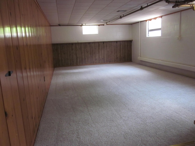 43859 60th Ave, Paw Paw, MI 49079 - basement with carpet flooring and wooden walls