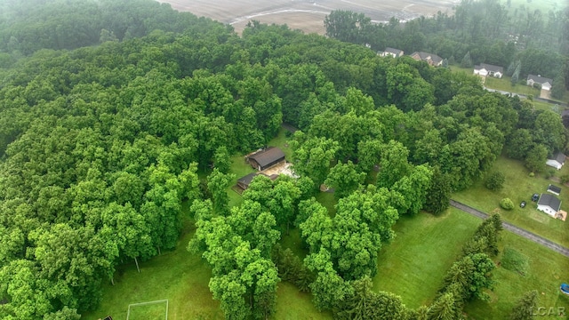 3091 Hickory Dr, Adrian, MI 49221