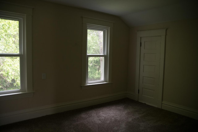 634 Ada St, Kalamazoo, MI 49007 - additional living space featuring healthy amount of natural light, dark colored carpet, and lofted ceiling