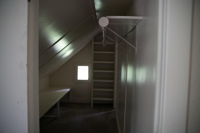 634 Ada St, Kalamazoo, MI 49007 - bonus room with lofted ceiling and dark carpet