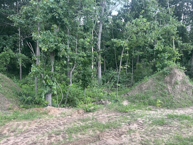 610 Arizona Blvd, Three Rivers, MI 49093 - photo 17