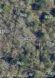 0000 Newago Trl, Hayes, MI 49735
