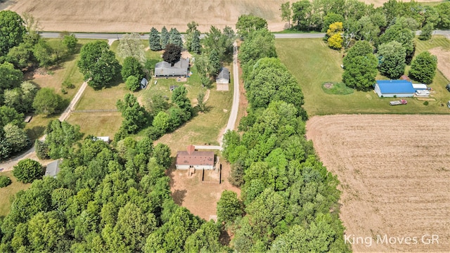 11690 21 Mile Rd NE, Sand Lake, MI 49343 - view of rural area
