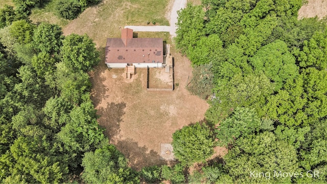 11690 21 Mile Rd NE, Sand Lake, MI 49343 - aerial view of property and surrounding area