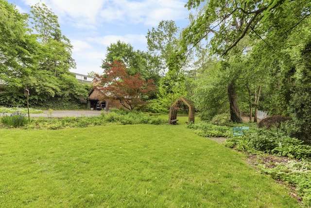 1706 S University Ave, Ann Arbor, MI 48104 - view of green lawn