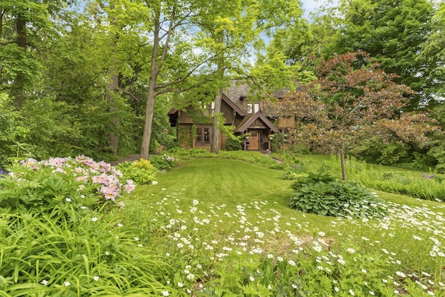 1706 S University Ave, Ann Arbor, MI 48104 - view of green lawn