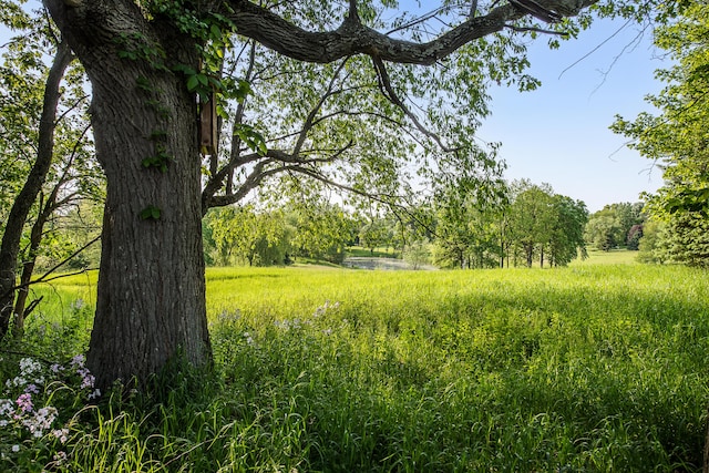 4297 Upper Glade Ct, Ann Arbor, MI 48103 - view of undeveloped land featuring a large body of water