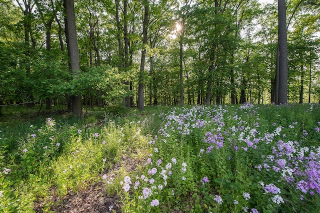 4297 Upper Glade Ct, Ann Arbor, MI 48103 - view of nature