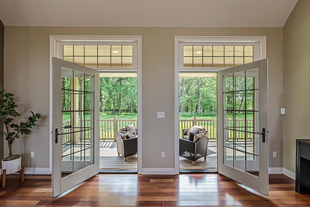 4297 Upper Glade Ct, Ann Arbor, MI 48103 - doorway featuring hardwood / wood-style floors, baseboards, and french doors