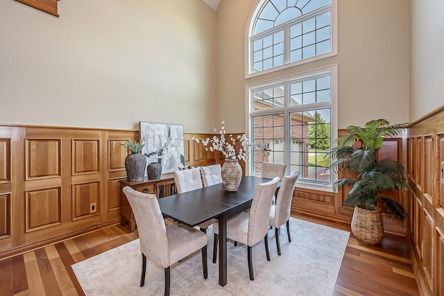 4297 Upper Glade Ct, Ann Arbor, MI 48103 - dining space featuring healthy amount of natural light, a wainscoted wall, light wood-style flooring, and a towering ceiling