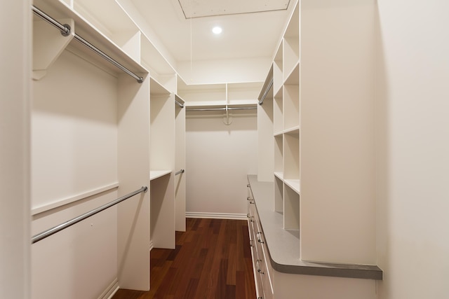 4297 Upper Glade Ct, Ann Arbor, MI 48103 - spacious closet with attic access and dark wood-type flooring