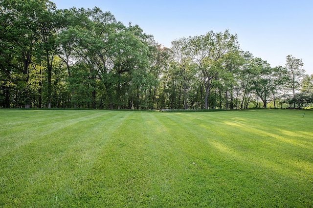 4297 Upper Glade Ct, Ann Arbor, MI 48103 - view of grassy yard
