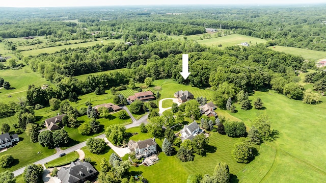 4297 Upper Glade Ct, Ann Arbor, MI 48103 - aerial view