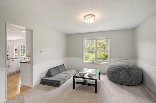 5616 Stoney Brook Rd, Kalamazoo, MI 49009 - living room featuring carpet floors