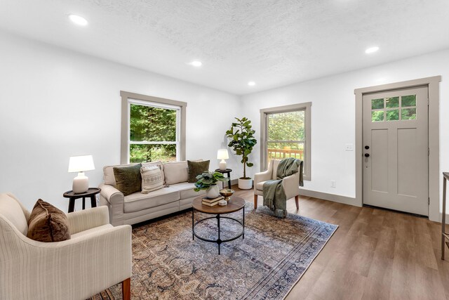 925 133rd Ave, Wayland, MI 49348 - living area featuring wood finished floors, recessed lighting, baseboards, and a textured ceiling