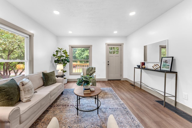 925 133rd Ave, Wayland, MI 49348 - living area with plenty of natural light, wood finished floors, recessed lighting, and baseboards