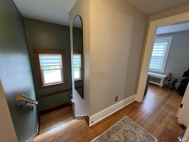 5304 E Dunbar Rd, Monroe, MI 48161 - hall with wood finished floors, baseboards, and arched walkways