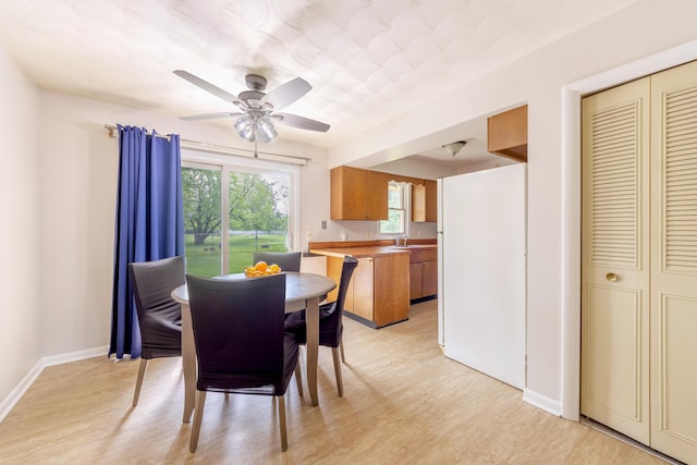 1110 Piccadilly Rd, Kalamazoo, MI 49006 - dining space with a ceiling fan, baseboards, and light wood-style flooring