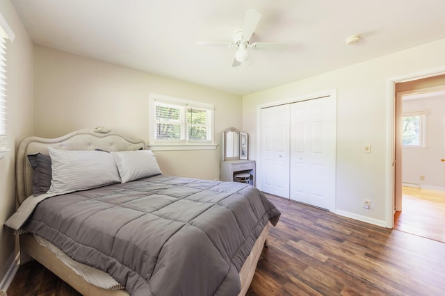 1110 Piccadilly Rd, Kalamazoo, MI 49006 - bedroom featuring multiple windows, wood finished floors, baseboards, and a closet