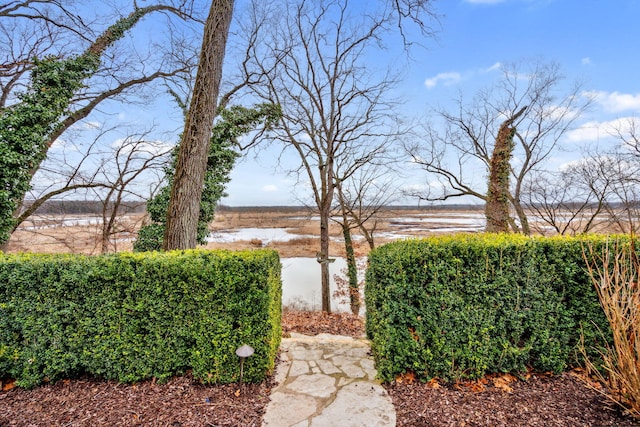 6242 131st Ave, Saugatuck, MI 49453 - view of yard with a water view and mail area