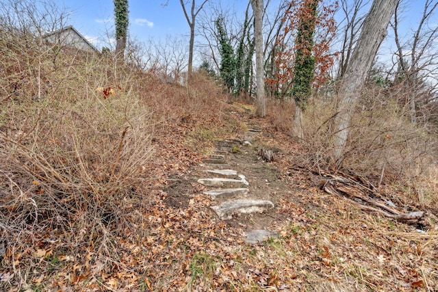 6242 131st Ave, Saugatuck, MI 49453 - view of yard